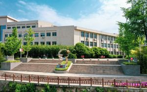 贵州531分考生都可以填报哪些大学？ 2024年一共19所大学录取